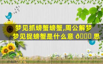 梦见抓螃蟹螃蟹,周公解梦梦见捉螃蟹是什么意 🐋 思